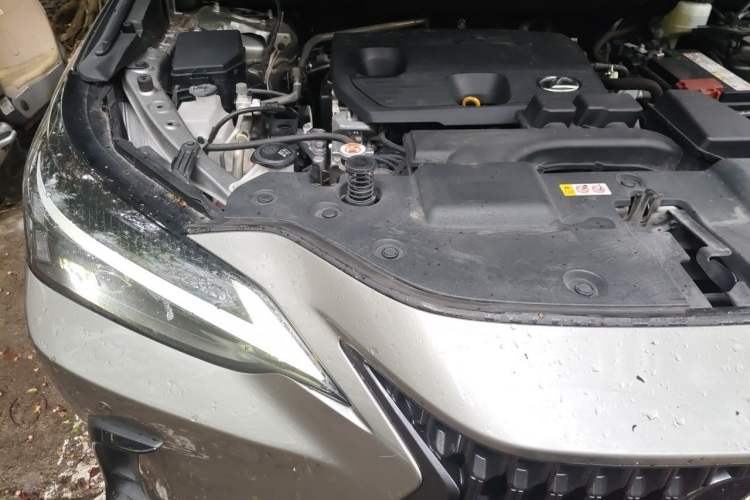 Used Lexus NX 2023 260 Front-Wheel Drive Chuanchi Edition Right Front Headlight