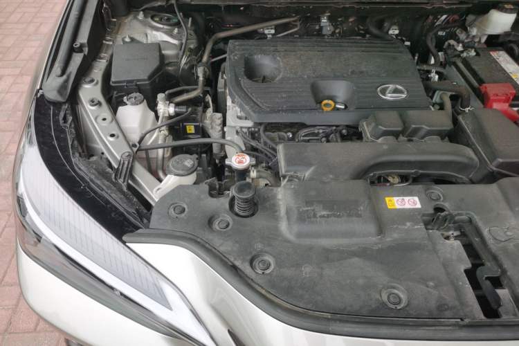 Used Lexus NX 2023 260 Front-Wheel Drive Chuanchi Edition Engine Bay Right