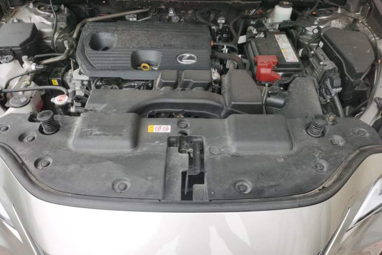 Used Lexus NX 2023 260 Front-Wheel Drive Chuanchi Edition Engine Bay