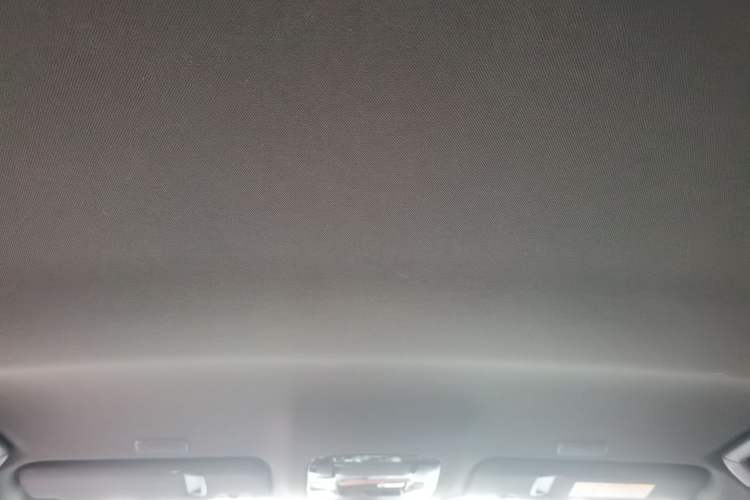 Used Lexus NX 2023 260 Front-Wheel Drive Chuanchi Edition Headliner