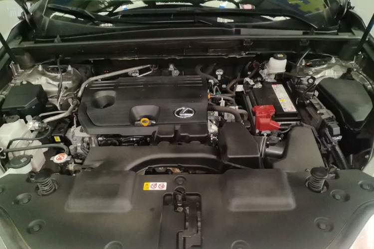 Used Lexus NX 2023 260 Front-Wheel Drive Chuan Yue Edition Engine Bay