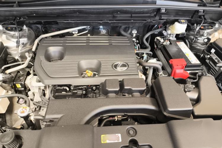 Used Lexus NX 2023 260 Front-Wheel Drive Chuanchi Edition Engine Bay