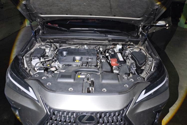 Used Lexus NX 2023 260 Front-Wheel Drive Chuan Yue Edition Engine Bay