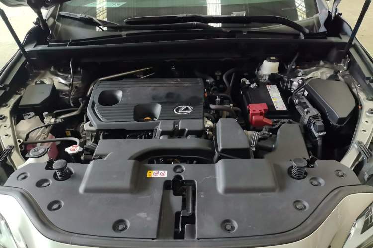 Used Lexus NX 2023 260 Front-Wheel Drive Chuan Yue Edition Engine Bay