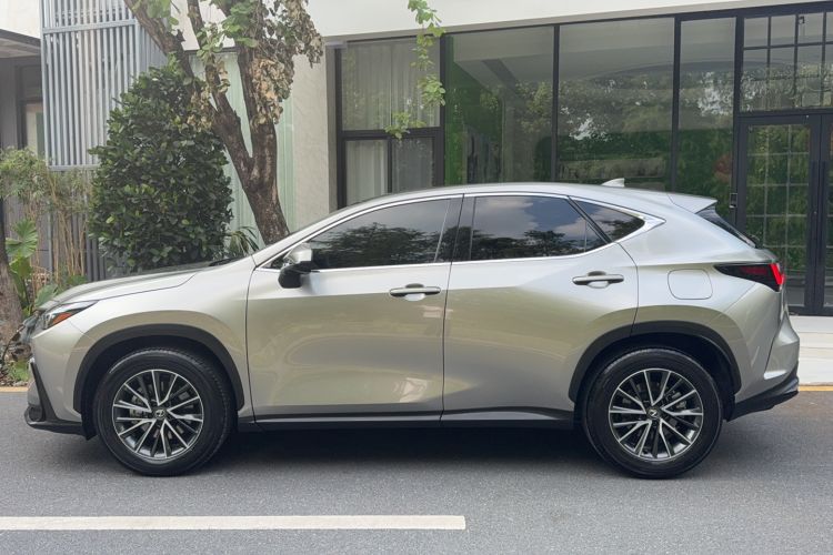 Used Lexus NX 2023 350h Front-Wheel-Drive Xinchichi Version Exterior 3