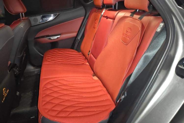 Used Lexus NX 2023 260 Front-Wheel Drive Chuan Yue Edition Left Rear Seat