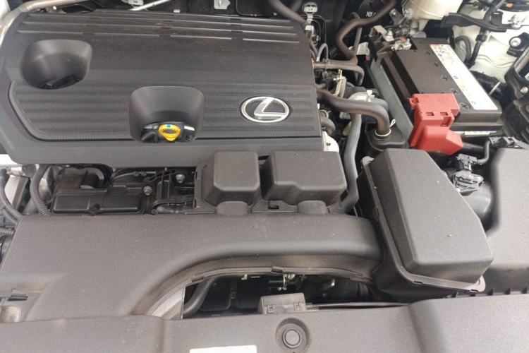 Used Lexus NX 2023 260 Front-Wheel Drive Chuan Yue Edition Engine Bay