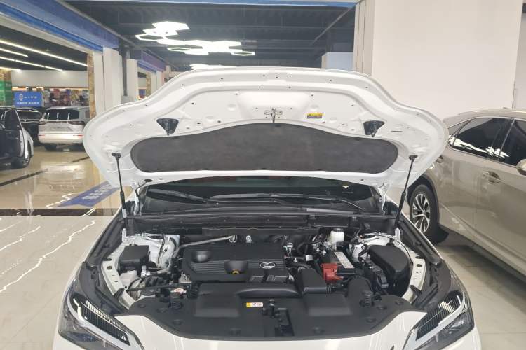 Used Lexus NX 2023 260 Front-Wheel Drive Chuan Yue Edition Engine Bay