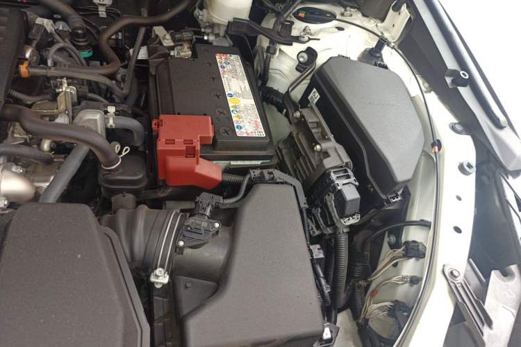 Used Lexus NX 2023 260 Front-Wheel Drive Chuan Yue Edition Engine Bay Left
