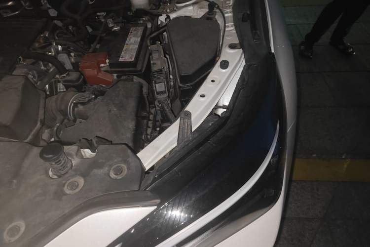 Used Lexus NX 2023 260 Front-Wheel Drive Chuanchi Edition Engine Bay Left