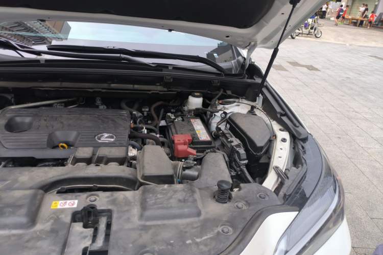 Used Lexus NX 2023 260 Front-Wheel Drive ChuanYou Special Edition Engine Bay Left