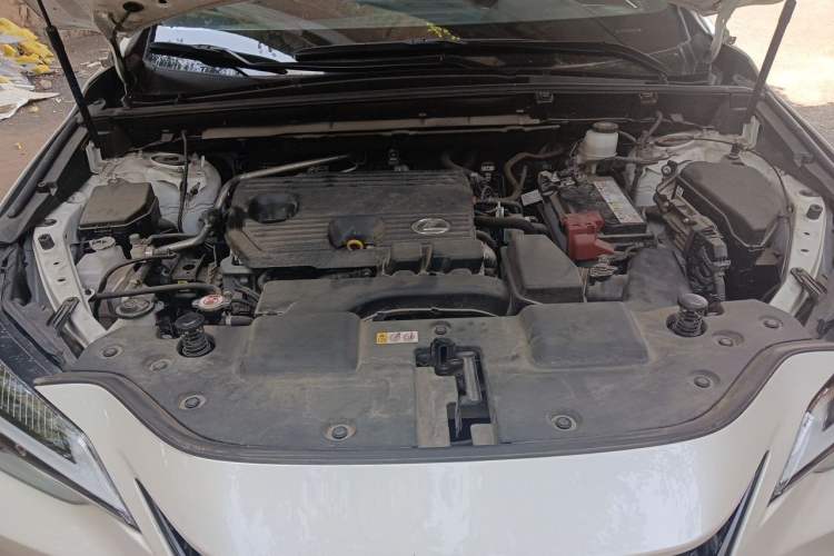 Used Lexus NX 2023 260 Front-Wheel Drive ChuanYou Special Edition Engine Bay