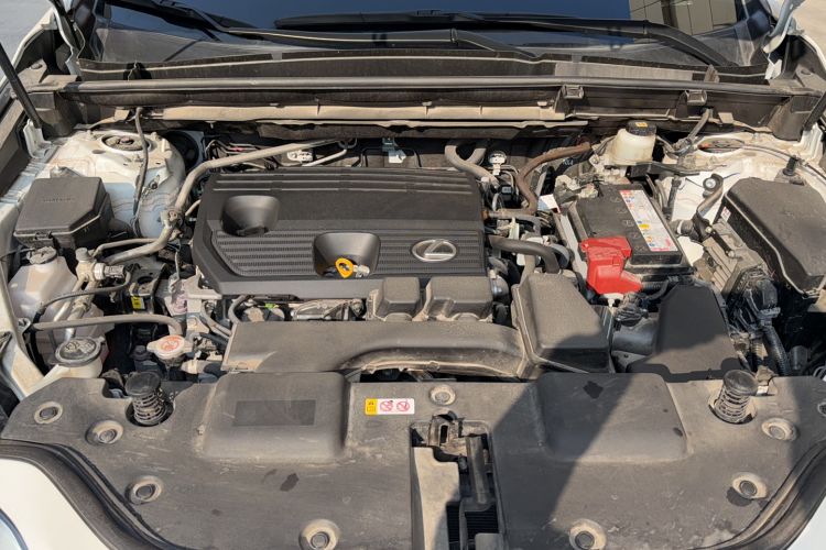 Used Lexus NX 2023 260 Front-Wheel Drive ChuanYou Special Edition Engine Bay