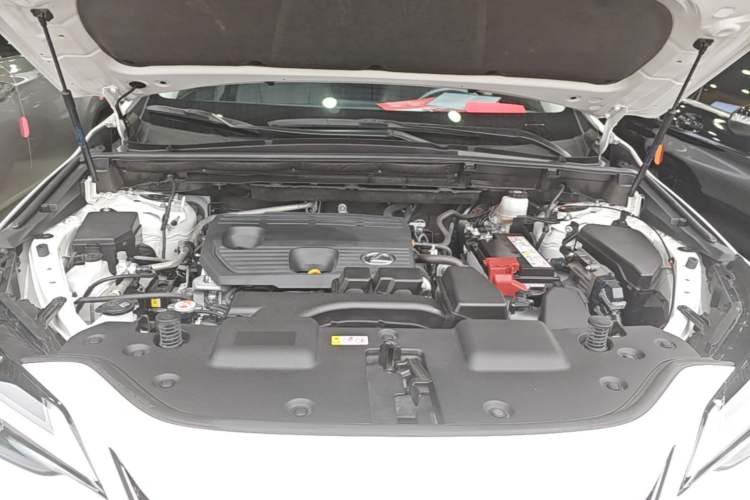 Used Lexus NX 2023 260 Front-Wheel Drive Chuan Yue Edition Engine Bay