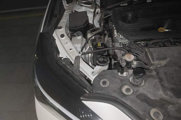 Used Lexus NX 2023 260 Front-Wheel Drive Chuanchi Edition Engine Bay Right