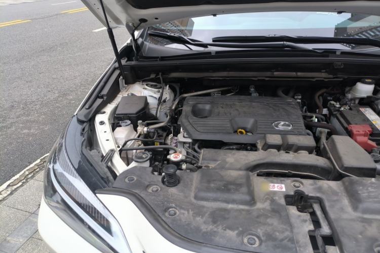 Used Lexus NX 2023 260 Front-Wheel Drive ChuanYou Special Edition Engine Bay Right