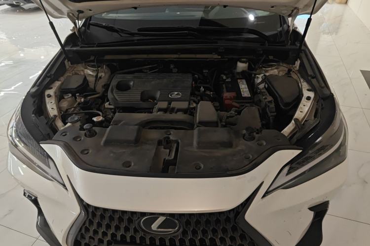 Used Lexus NX 2023 260 Front-Wheel Drive Chuan Yue Edition Engine Bay