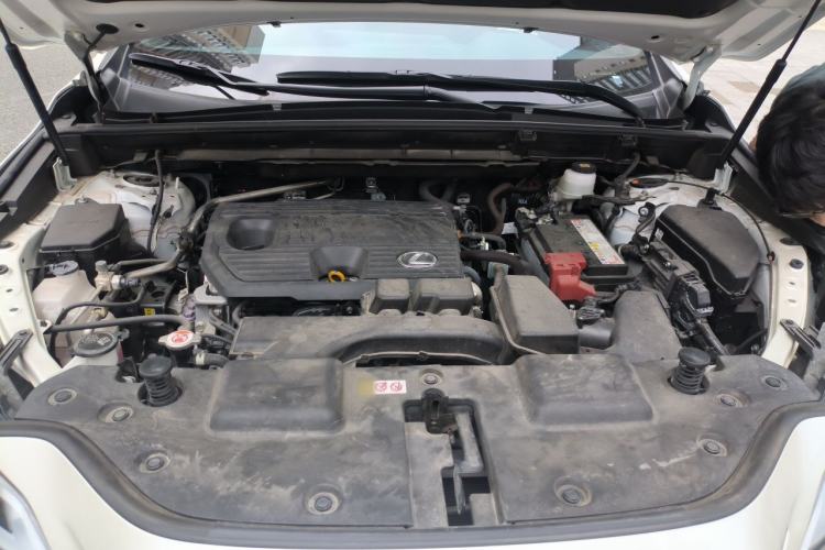 Used Lexus NX 2023 260 Front-Wheel Drive ChuanYou Special Edition Engine Bay