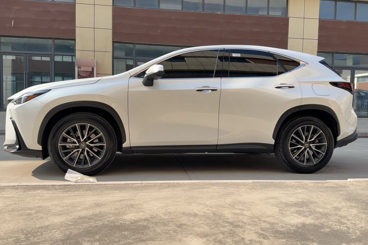 Used Lexus NX 2023 260 Front-Wheel Drive ChuanYou Special Edition Exterior 5