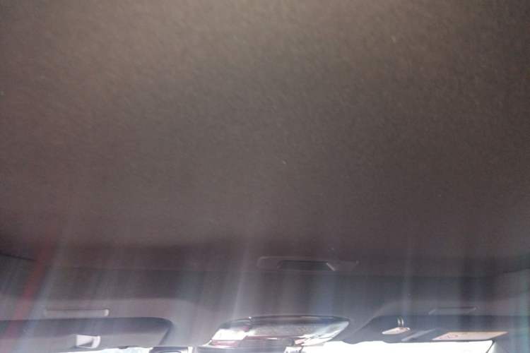 Used Lexus NX 2023 260 Front-Wheel Drive Chuan Yue Edition Headliner