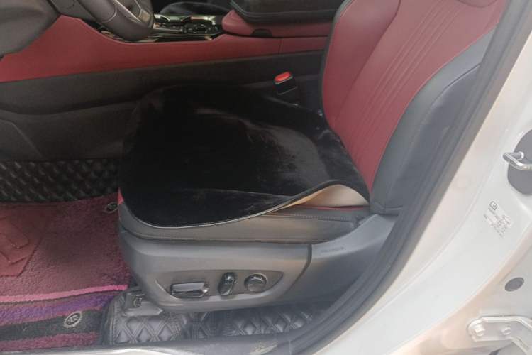 Used Lexus NX 2023 260 Front-Wheel Drive ChuanYou Special Edition Left Front Seat