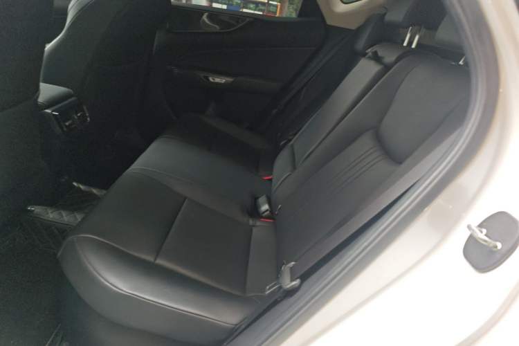 Used Lexus NX 2023 350h Front-Wheel-Drive Chuan Yue Edition Left Rear Seat