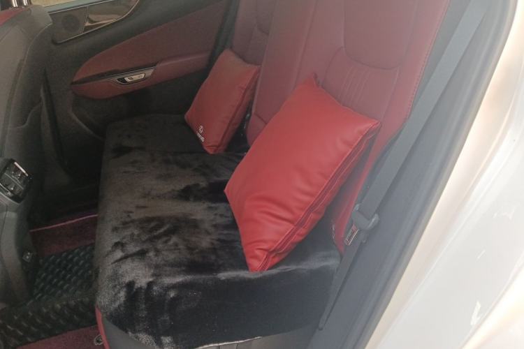 Used Lexus NX 2023 260 Front-Wheel Drive ChuanYou Special Edition Left Rear Seat