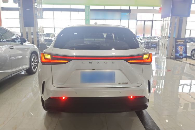 Used Lexus NX 2023 260 Front-Wheel Drive Chuan Yue Edition Rear