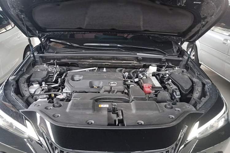 Used Lexus NX 2024 260 Front-Wheel Drive Chuan Yue Edition Engine Bay
