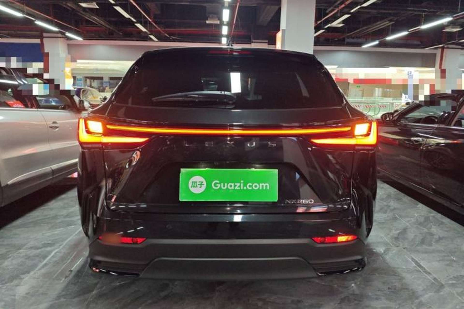 Used Lexus NX 2024 260 Front-Wheel Drive Chuanchi Edition Rear