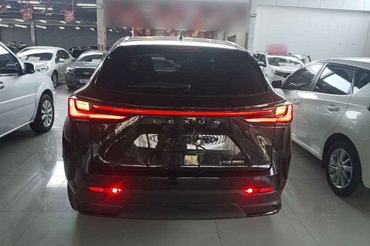 Used Lexus NX 2024 260 Front-Wheel Drive Chuan Yue Edition Rear