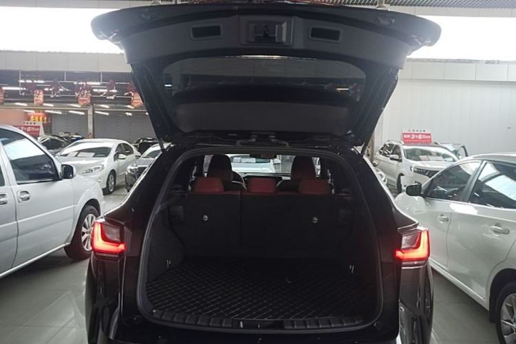 Used Lexus NX 2024 260 Front-Wheel Drive Chuan Yue Edition Trunk