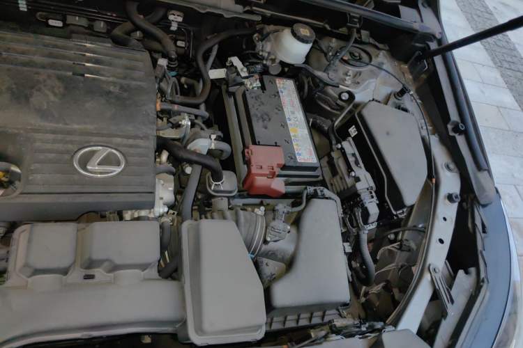 Used Lexus NX 2024 260 Front-Wheel Drive Chuanchi Edition Engine Bay Left