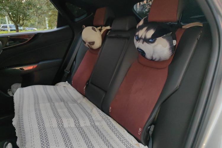 Used Lexus NX 2024 260 Front-Wheel Drive Chuanchi Edition Left Rear Seat