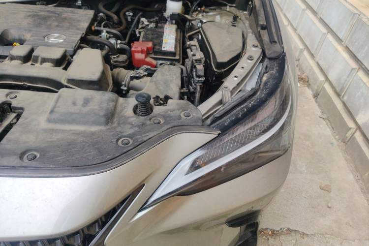 Used Lexus NX 2024 260 Front-Wheel Drive Chuanchi Edition Engine Bay Left