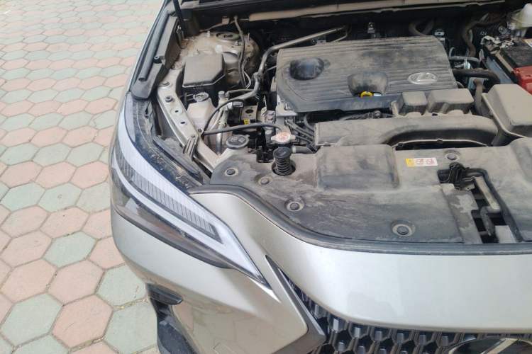 Used Lexus NX 2024 260 Front-Wheel Drive Chuanchi Edition Engine Bay Right