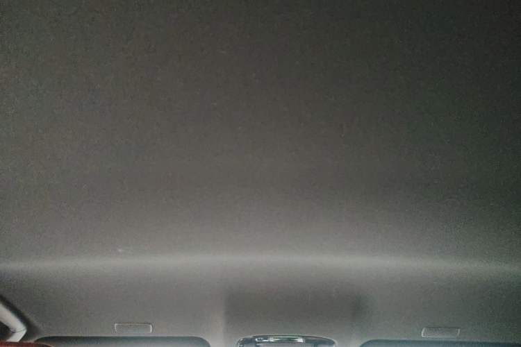 Used Lexus NX 2024 260 Front-Wheel Drive Chuanchi Edition Headliner