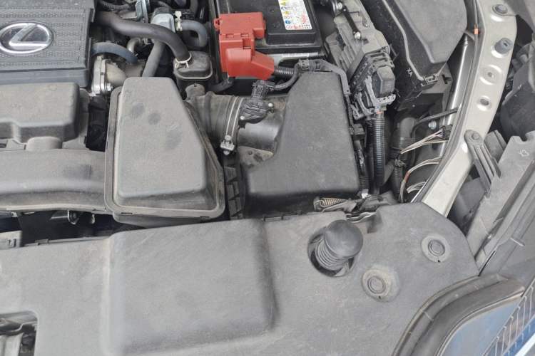 Used Lexus NX 2024 260 Front-Wheel Drive Chuanchi Edition Engine Bay Left