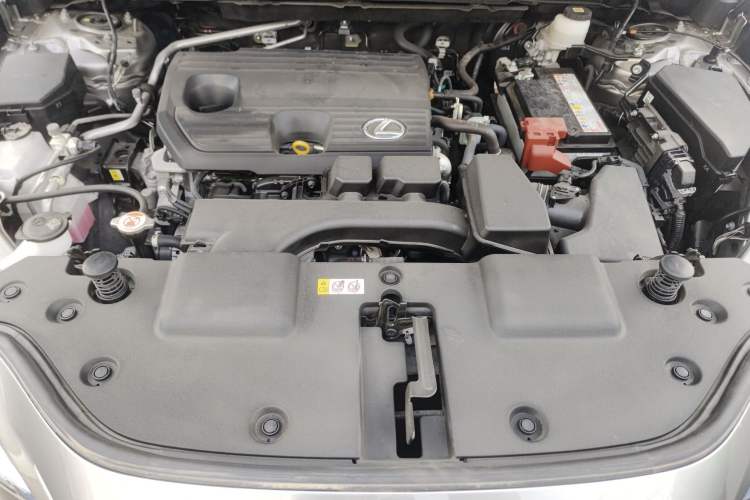 Used Lexus NX 2024 260 Front-Wheel Drive Chuanchi Edition Engine Bay