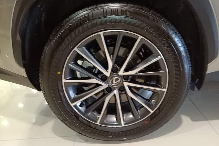 Used Lexus NX 2024 260 Front-Wheel Drive Chuan Yue Edition Exterior 5