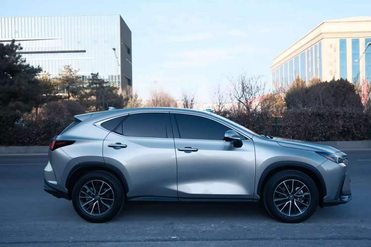 Used Lexus NX 2024 260 Front-Wheel Drive Chuan Yue Edition Exterior 7