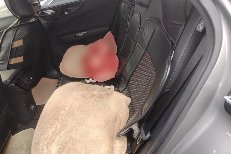 Used Lexus NX 2024 260 Front-Wheel Drive Chuanchi Edition Interior 4
