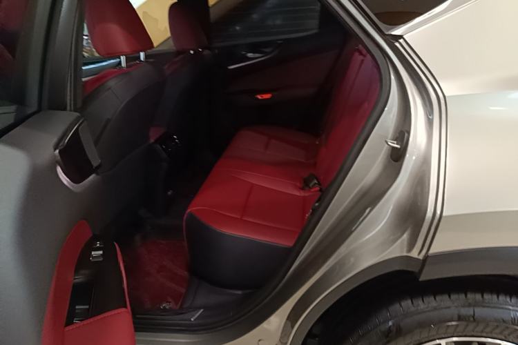Used Lexus NX 2024 260 Front-Wheel Drive Chuan Yue Edition Left Rear Seat