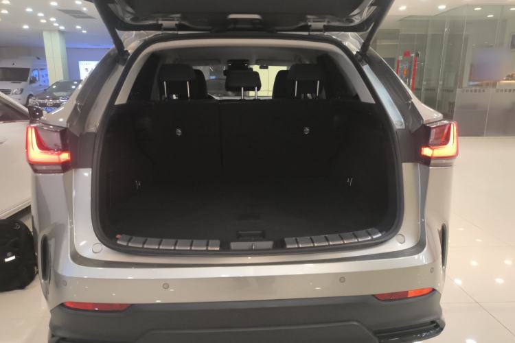 Used Lexus NX 2024 350h Front-Drive Xinchu Version Trunk