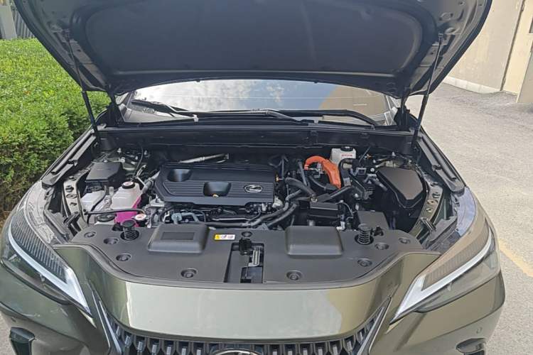 Used Lexus NX 2024 350h All-Wheel-Drive OVERTRAIL Trailblazer Edition Engine Bay