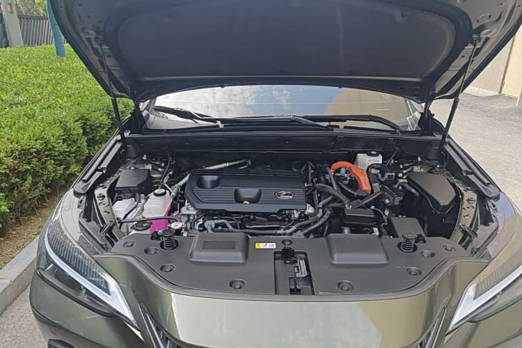 Used Lexus NX 2024 350h All-Wheel-Drive OVERTRAIL Trailblazer Edition Engine Bay Right