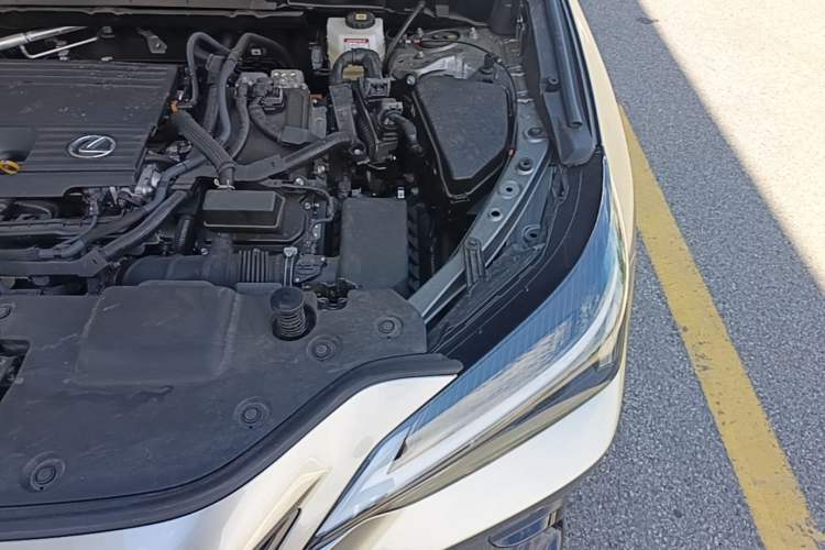 Used Lexus NX 2024 350h Front-Drive Elite Edition Engine Bay Left