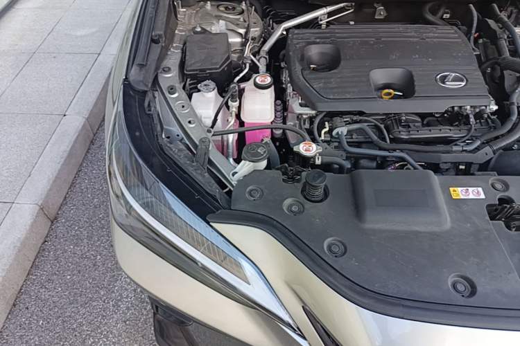 Used Lexus NX 2024 350h Front-Drive Elite Edition Engine Bay Right
