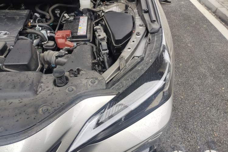 Used Lexus NX 2024 260 Front-Wheel Drive Chuanchi Edition Engine Bay Left