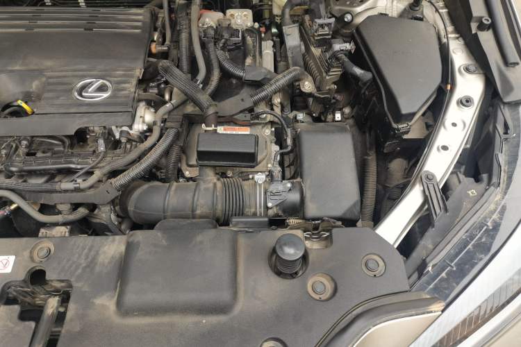 Used Lexus NX 2024 350h Front-Drive Elite Edition Engine Bay Left